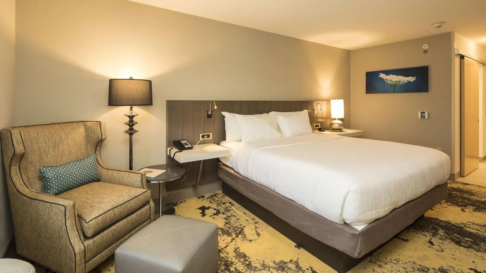 Hilton Garden Inn Pittsburgh Airport Moon Township Hotel